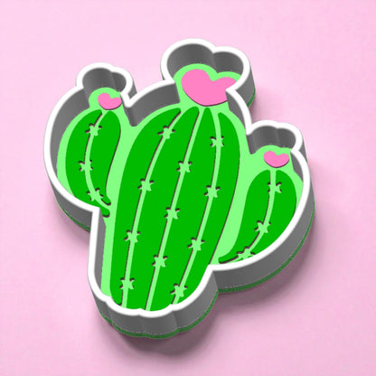 Kawaii Cactus | Suculent Tray